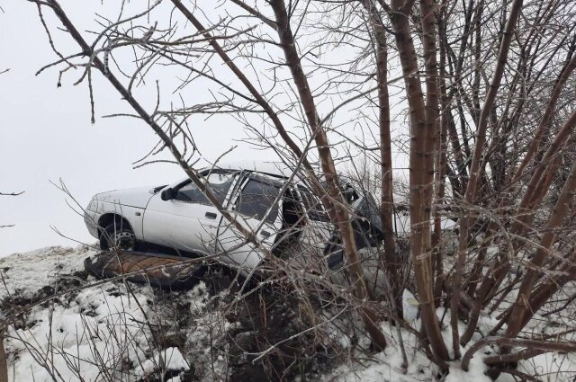    Фото: ГУ МВД по Воронежской области