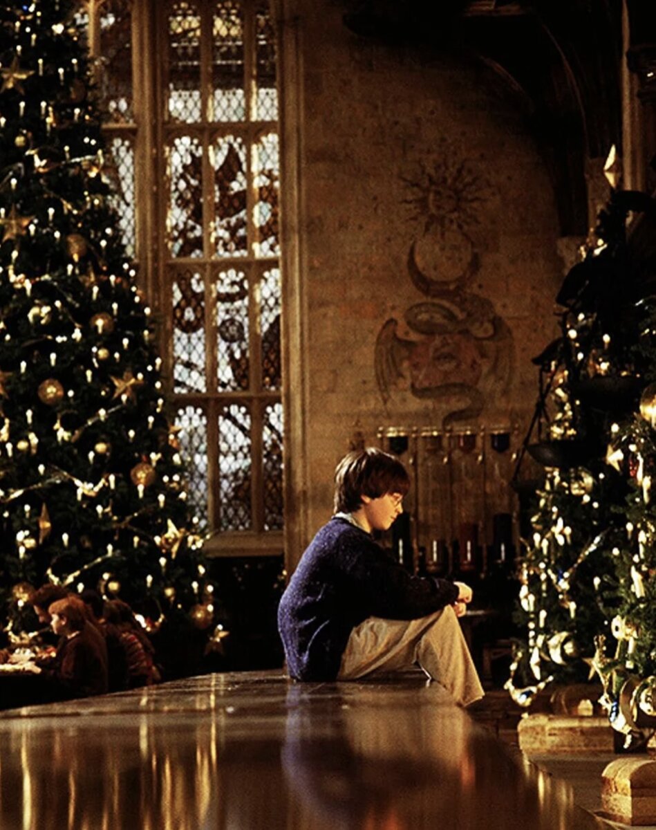 Одинокий Гарри и Рождственский Хогвартс