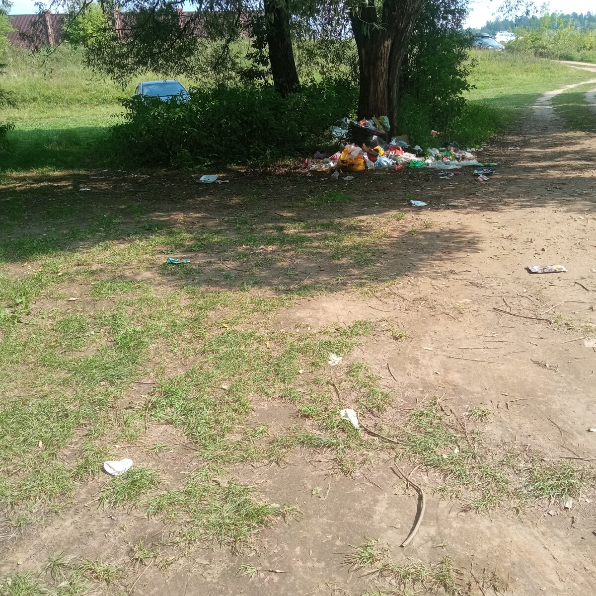 Фото из архива автора. 