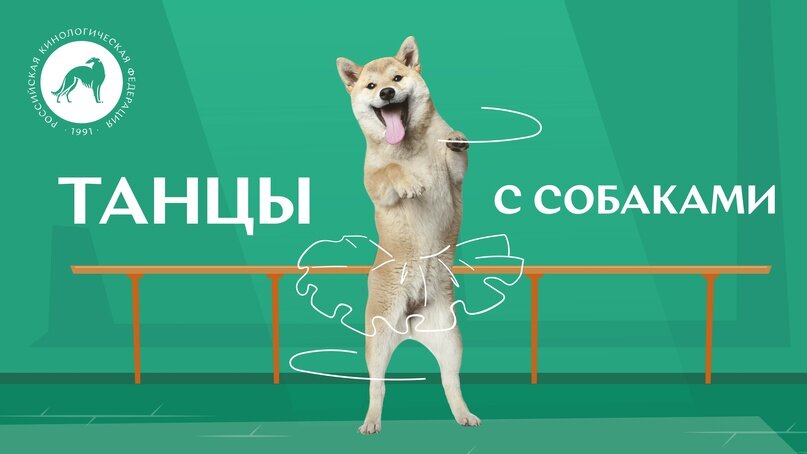 Источник: РКФ