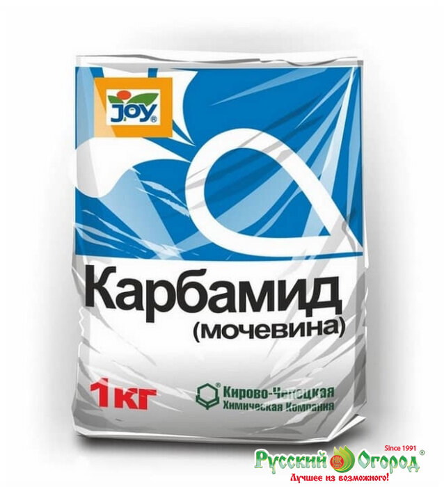 фото из свободного доступа.