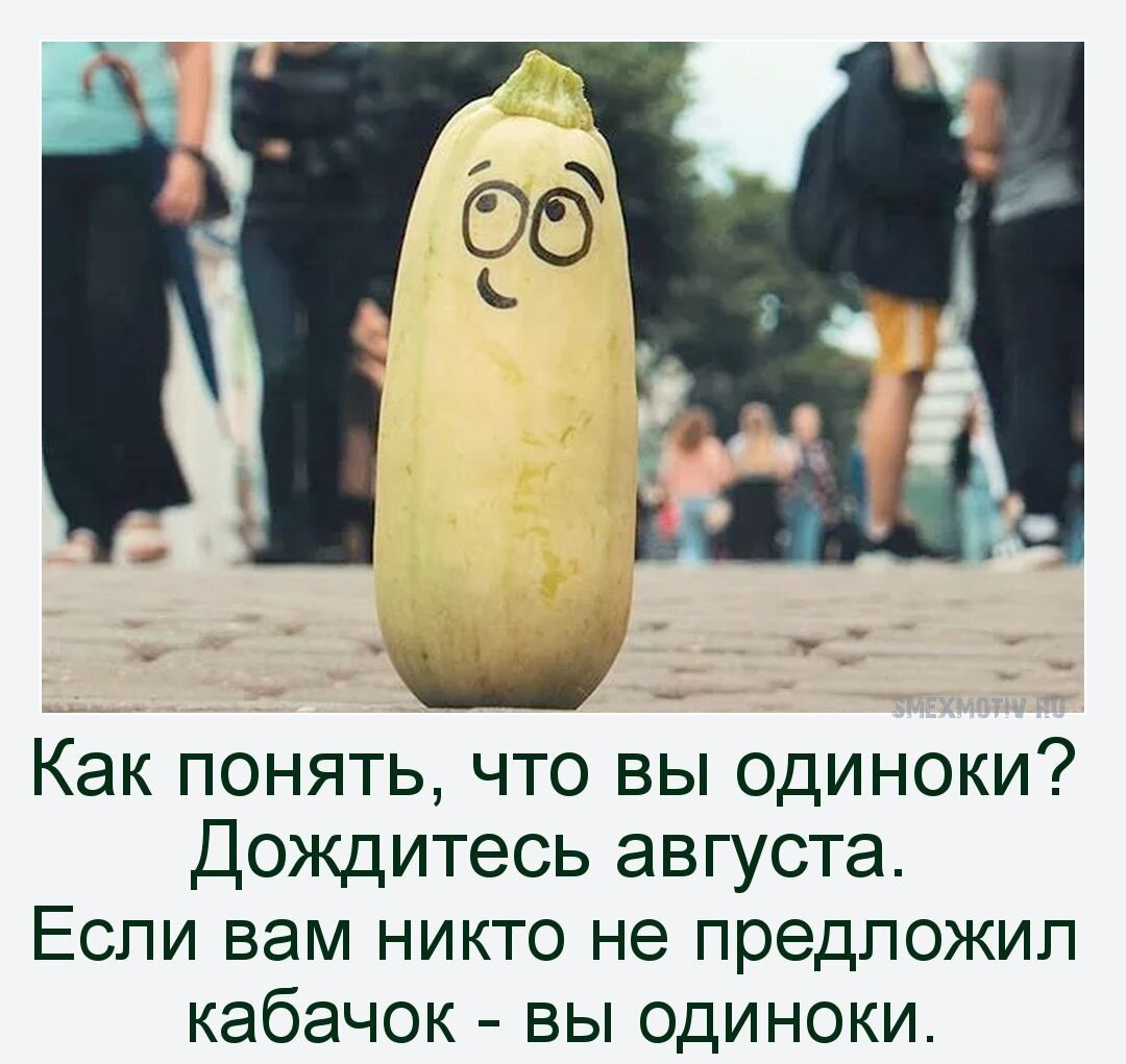 Овощ на том самом матрасе это все еще я