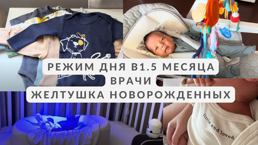 РЕЖИМ РЕБЕНКА В 1.5 МЕСЯЦА, ВРАЧИ, ЖЕЛТУХА, ПОКУПКИ ОДЕЖДЫ