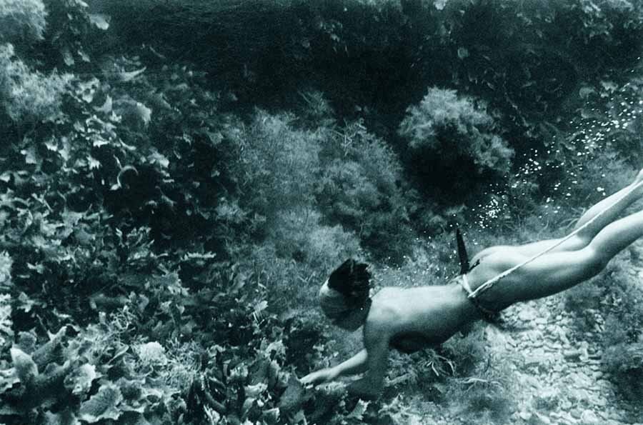 Ama / Photographs by Yoshiyuki Iwase and Fosco Maraini