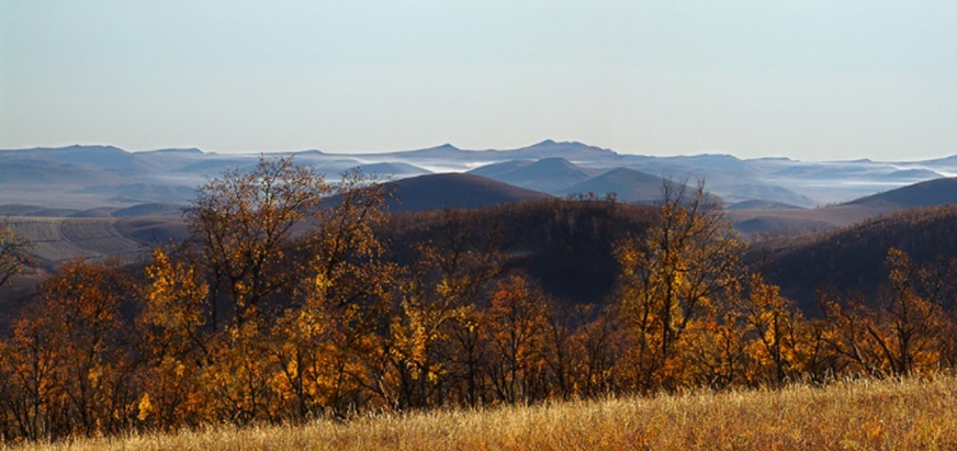 3 сентября 2023г. Россия впервые официально отметит победу над милитаристской Японией. Этим летом закон подписал президент РФ Владимир Путин.-34