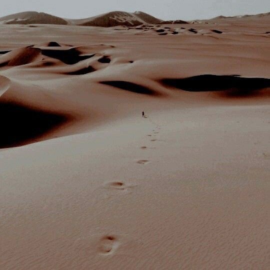 Взято из сети Интернет