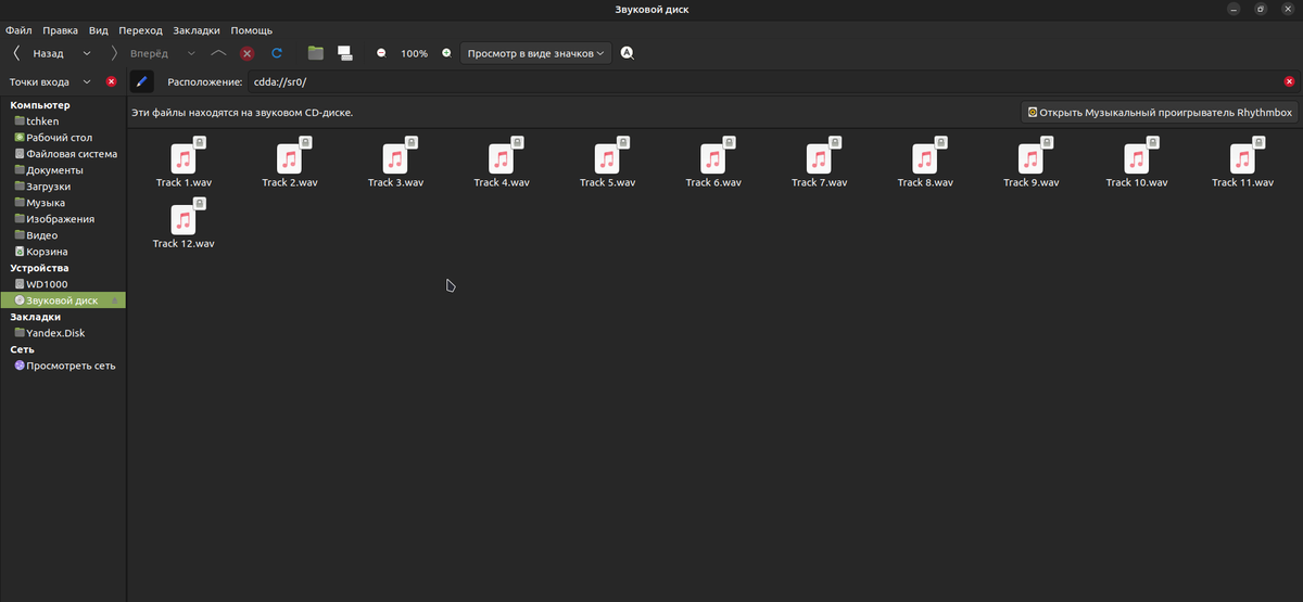 Музыкальный альбом на CD готов к воспроизведению