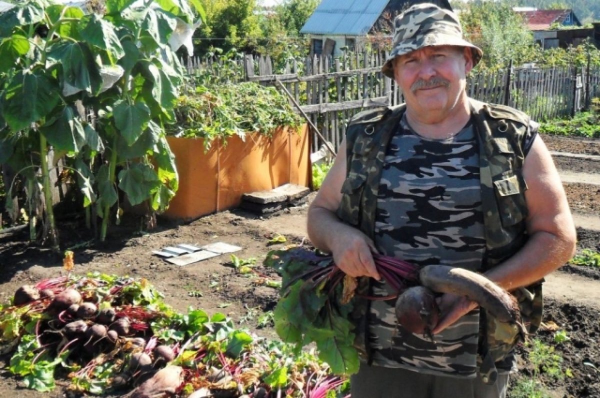    На садовом участке барнаулец чувствует умиротворение и гармонию.