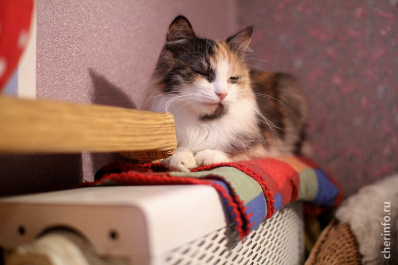    Об этом сегодня сообщил мэр Вадим Германов. Постановление о начале отопительного сезона подписано.