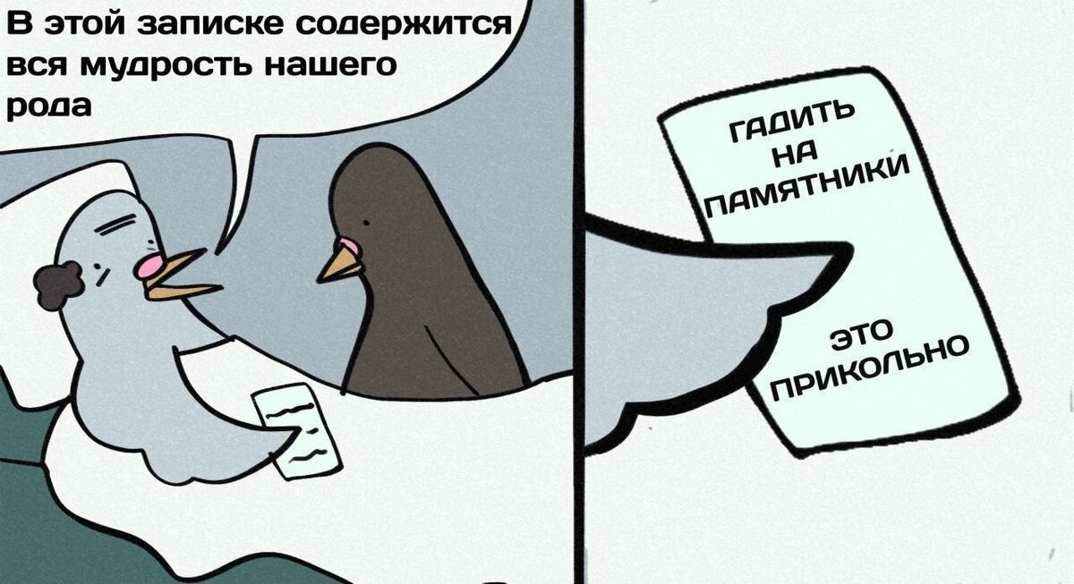 Новость: Голуби могут передавать знания по наследству