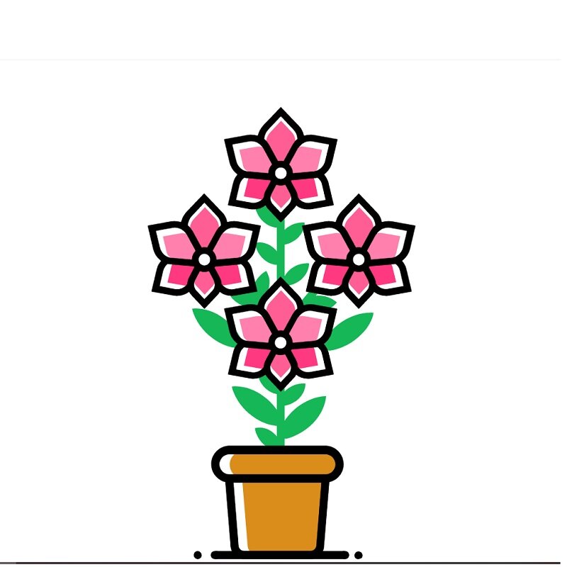 Выбираем место для орхидей