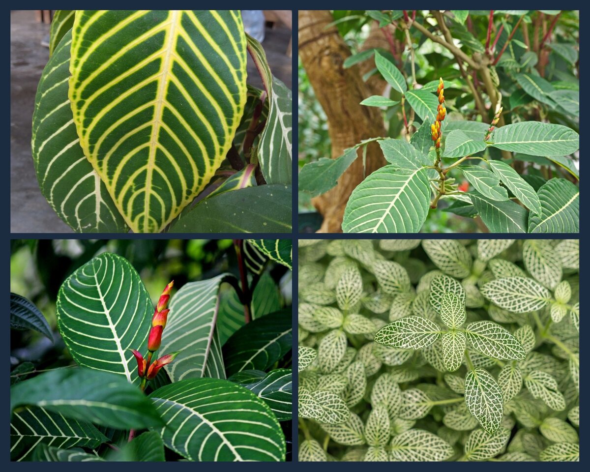 Пара подсказок