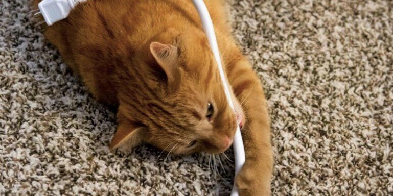 Фото из открытых источников интернета