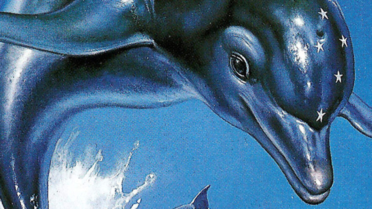Картины дельфинов настоящих