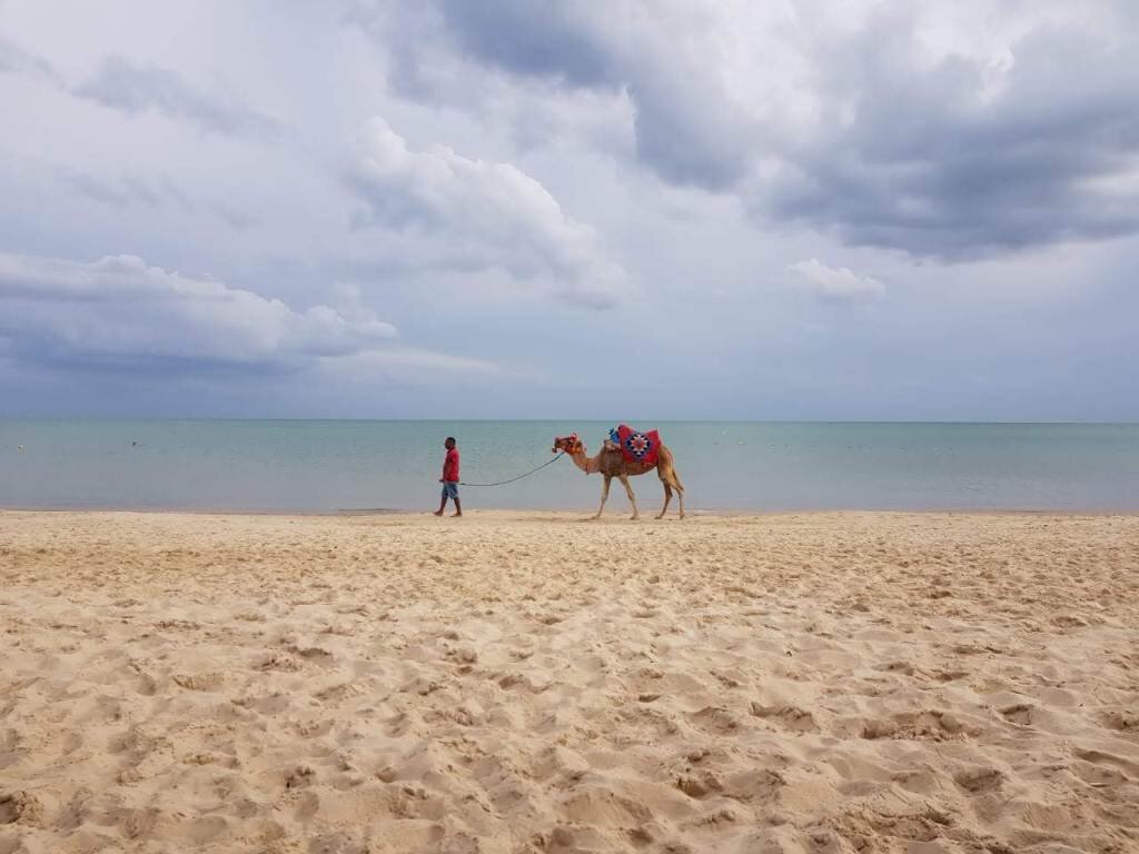 Живописные пляжи Средиземного моря — главное богатство Туниса. И они здесь действительно замечательные — чистые, мелкопесчаные, с широкой прибрежной полосой и пологим спуском в воду.-2