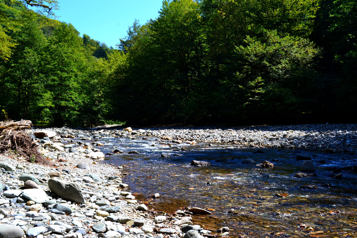 Слияние реки Сочи с её притоком Ац (справа)