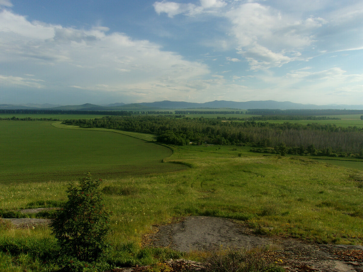 Самая идеальная погода для пчел - сухо и нежарко.
