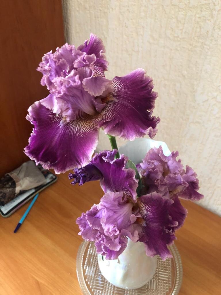 Невероятные и такие разные!!!