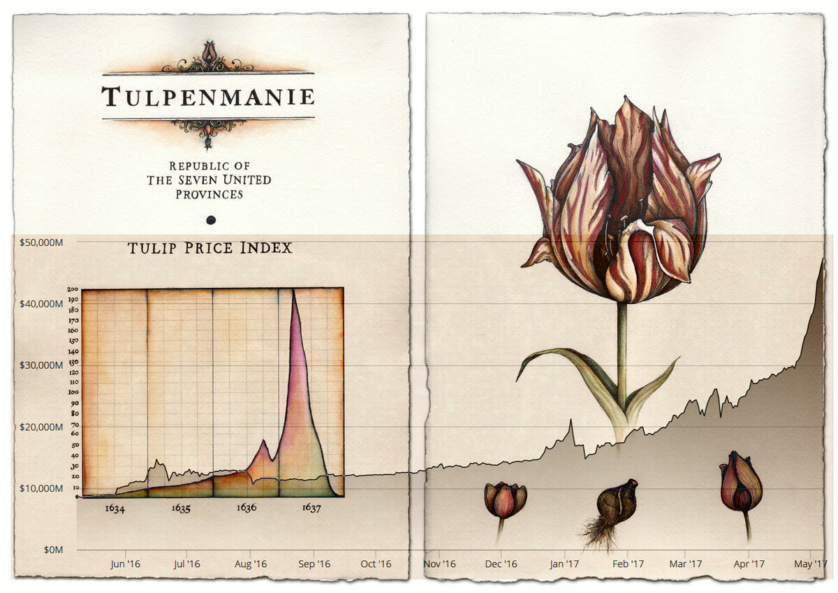 Картина тюльпаномания с графиком