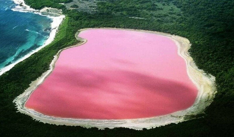 Источник фото https://www.instagram.com/p/B7XO8zOnwD4/