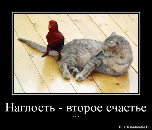 картинка из инета