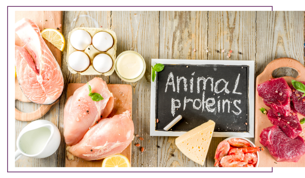 Белки животного происхождения