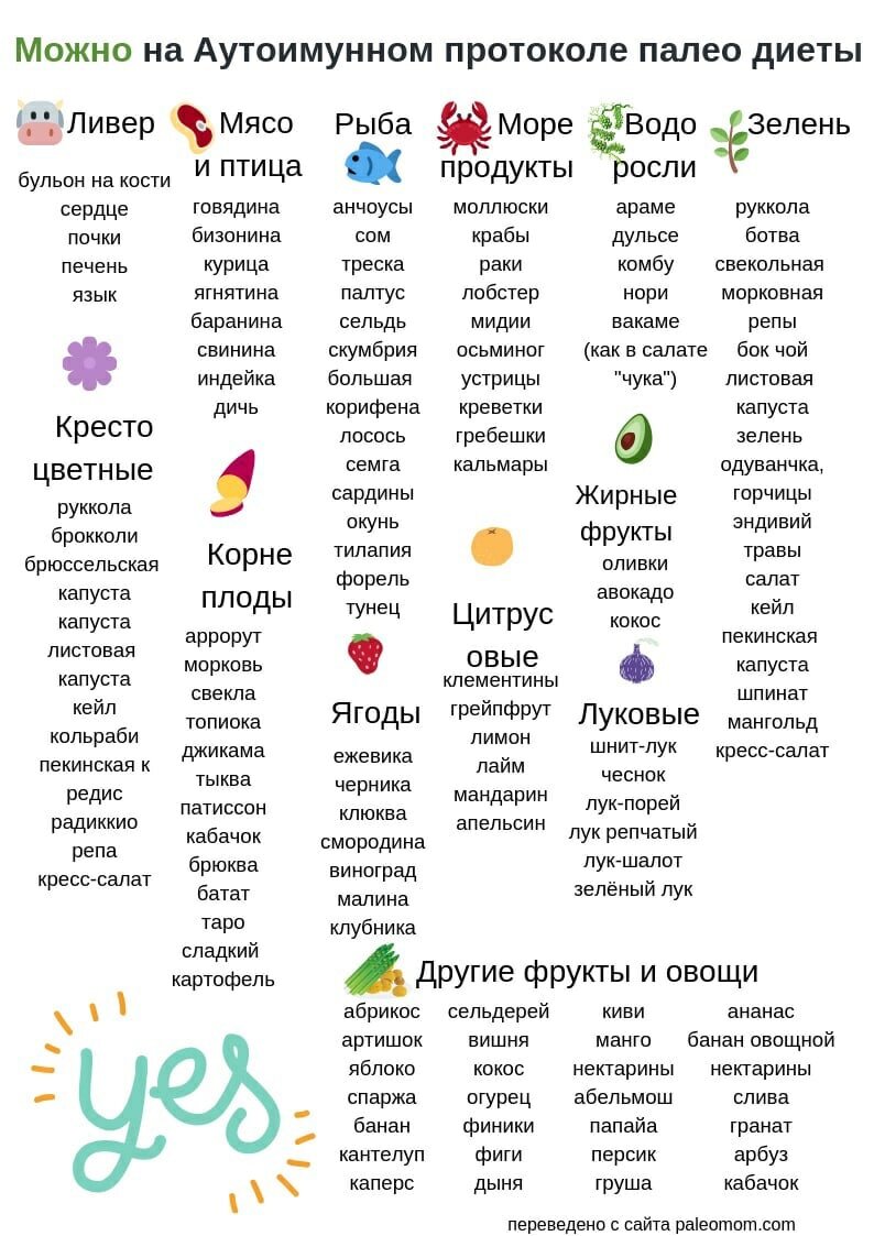 Список сар. Палео протокол список продуктов. Палео протокол питания. Палео диета аутоиммунный протокол. Палео АИП протокол питания.