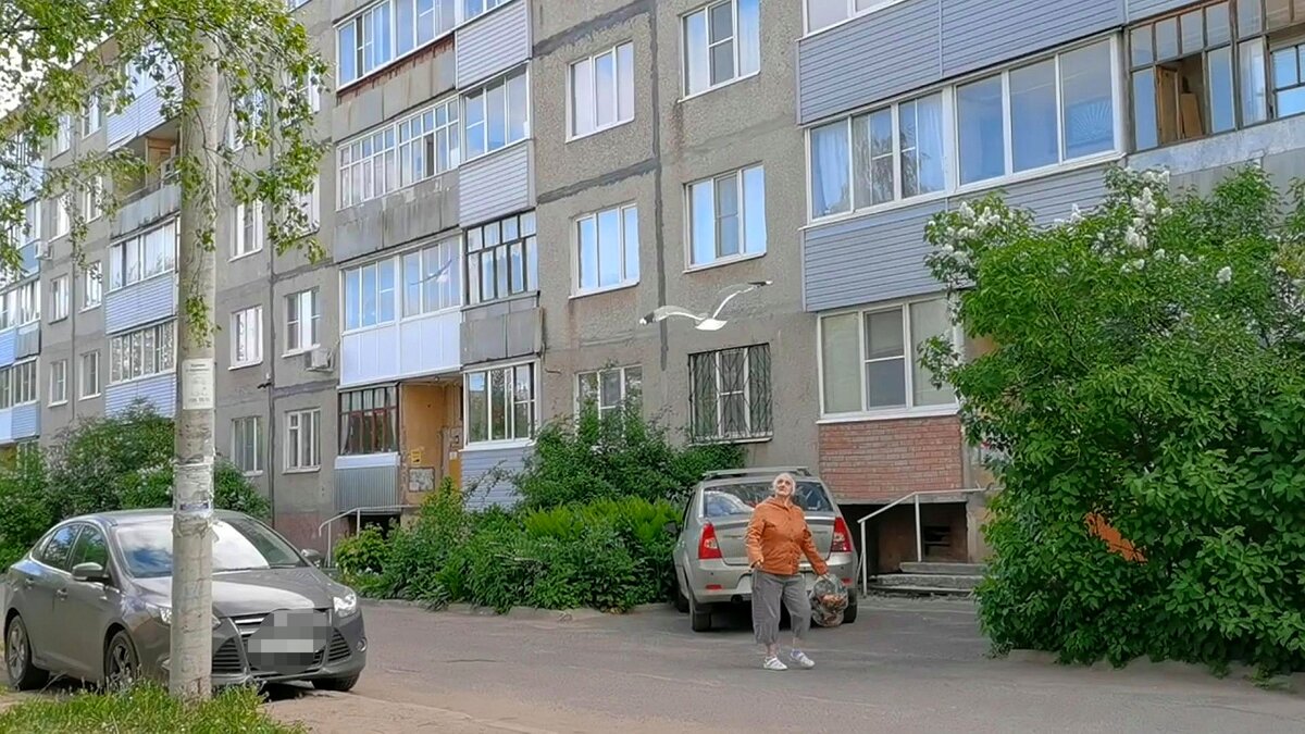 Все фото - автора