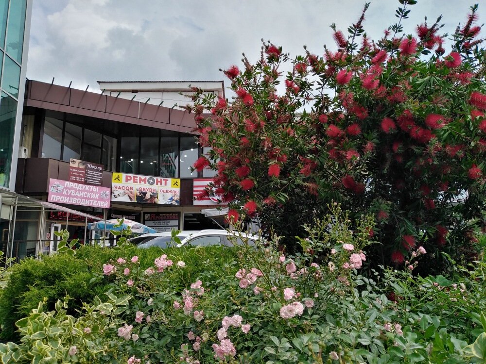 Под вывеской "Продукты Кубанских производителей" вход - нам туда, там и есть рынок