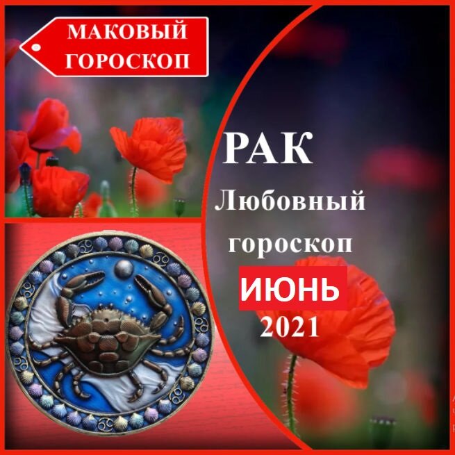 Маковый гороскоп. Маковый гороскоп дзен. Маковый гороскоп на январь.