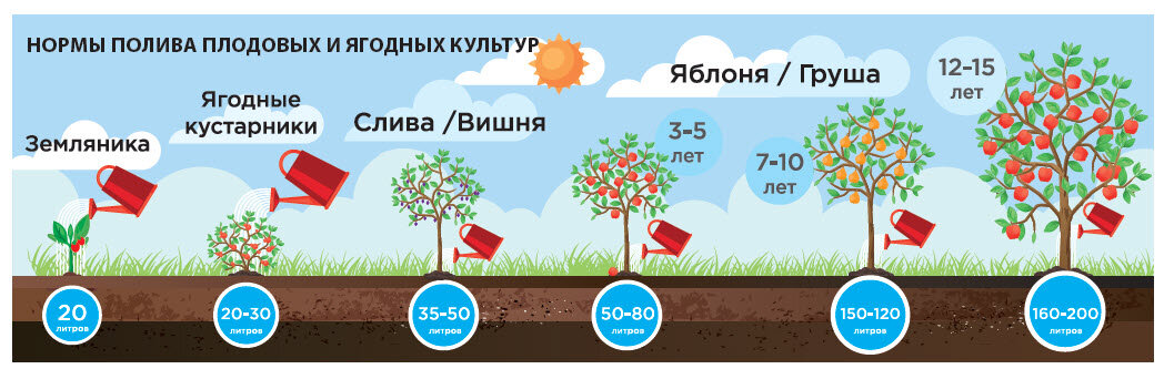 Норма полива