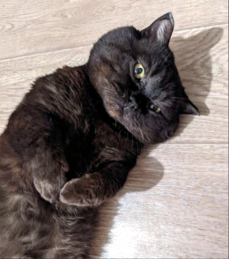 Это он не злой, а немного грустный