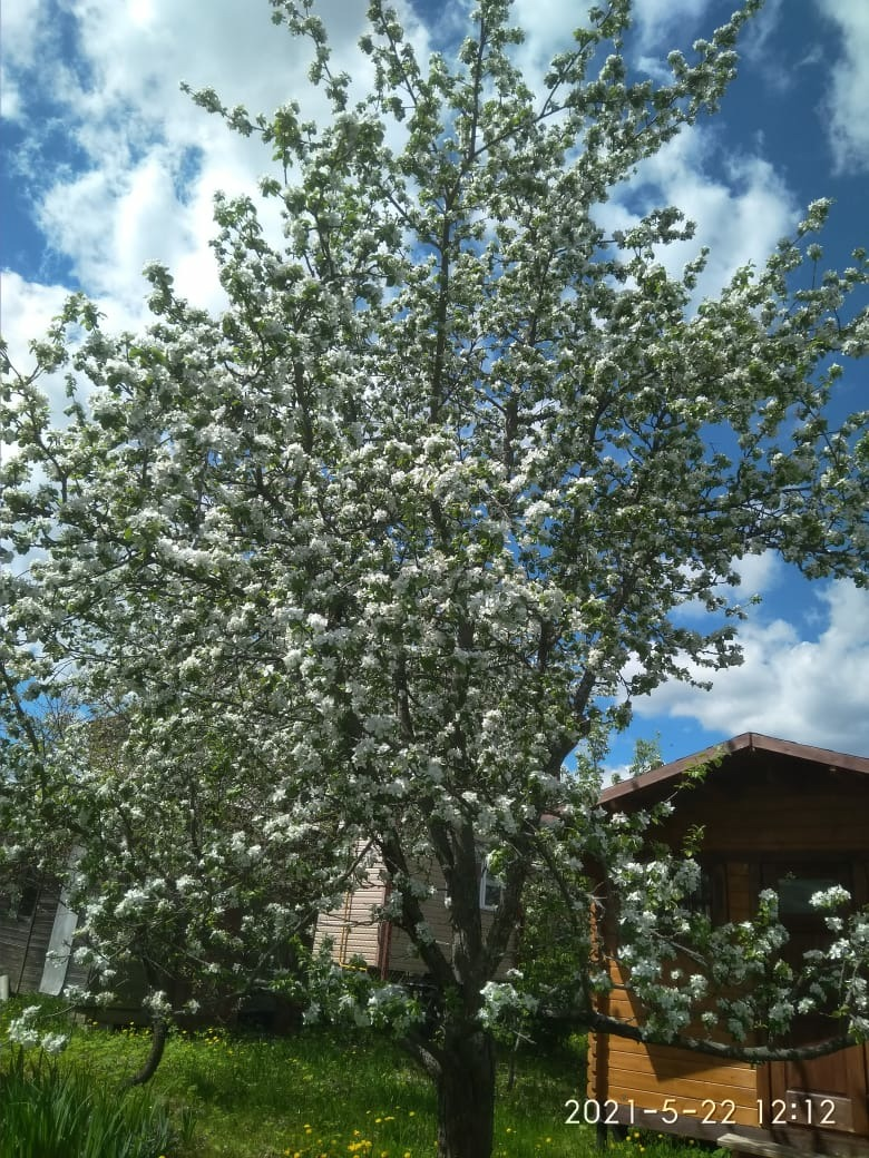 Вот такая красота...