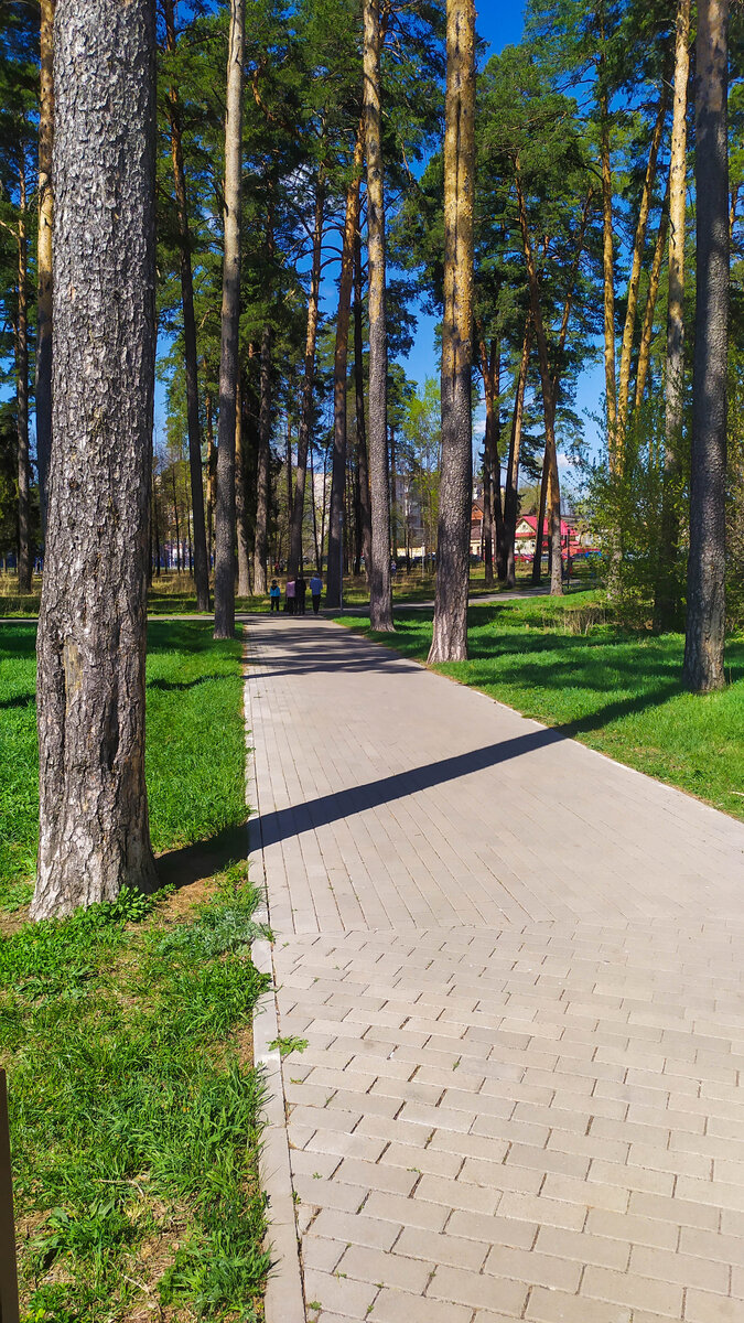 Лучший парк Сарапула! Сочетание нетронутой природы и благоустройства. | Не  такие. Путешествия. | Дзен