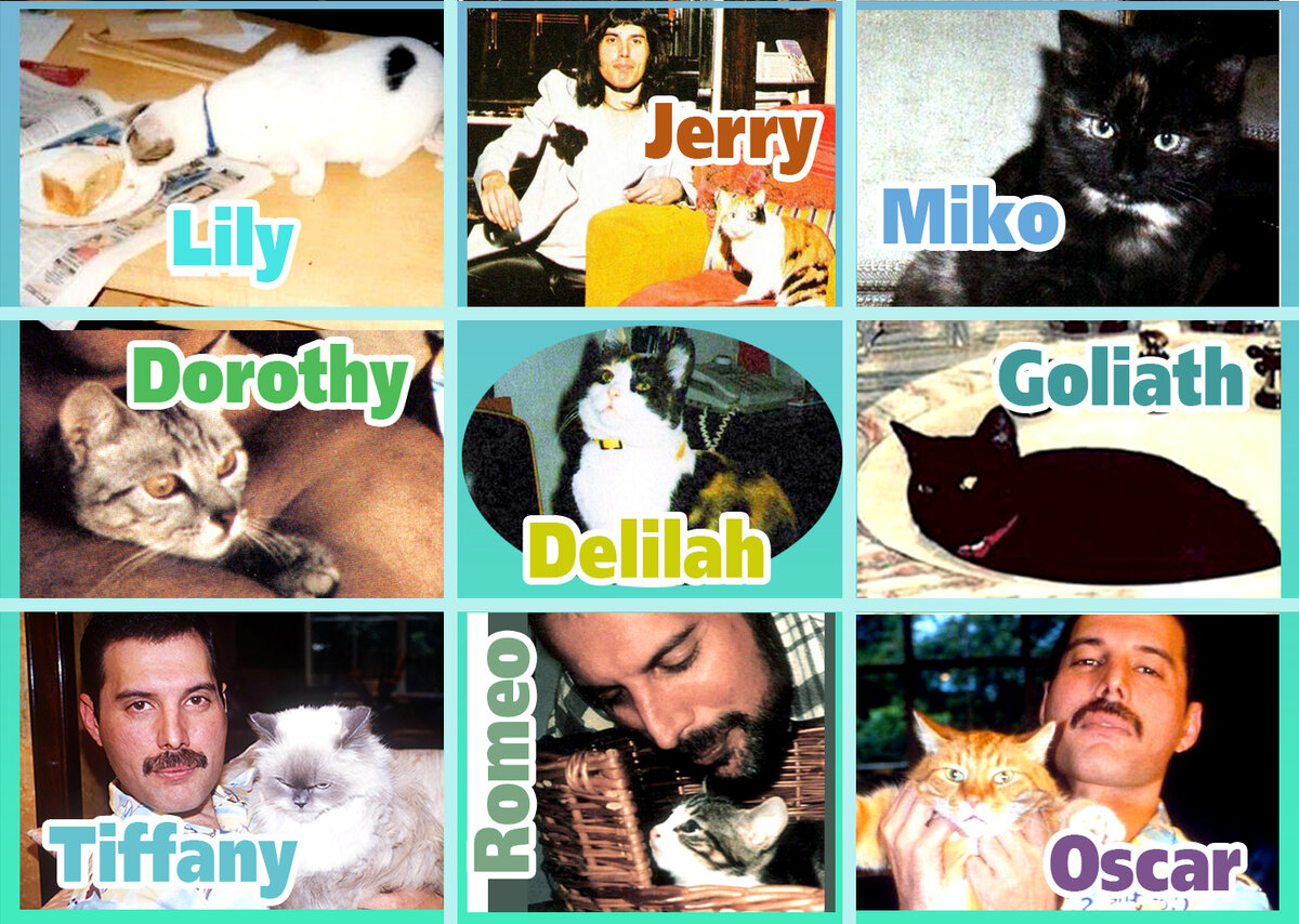 Меркурианские котэ