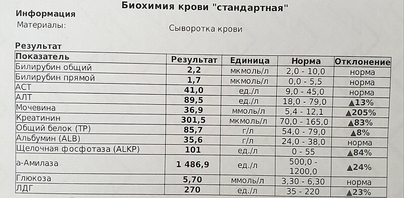Пример анализа