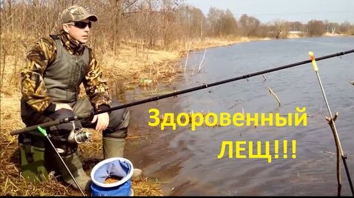 Здоровенный лещ!!! Видео с приколом))