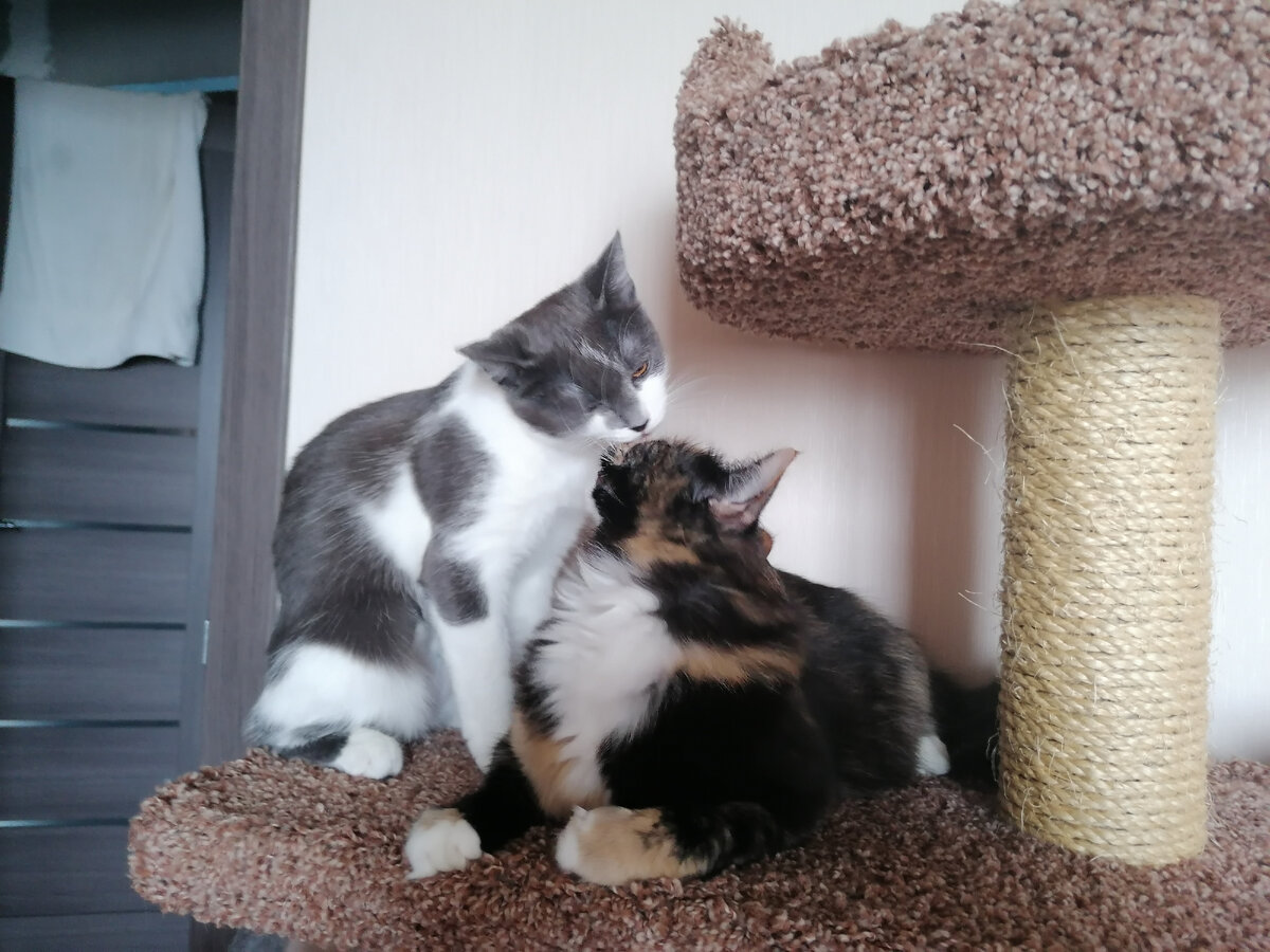 Они вообще всё едят, представляешь?