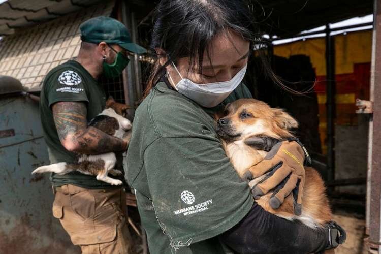 Из открытых источников. 