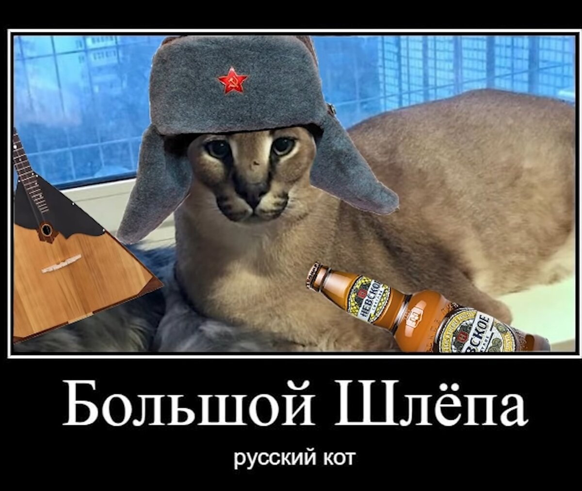 Шлепа русский кот