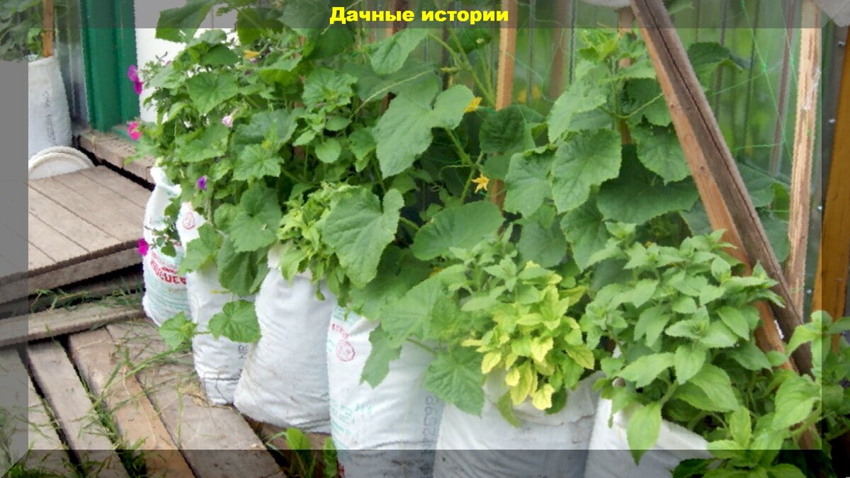 https://vk.com/photo-159774511_457247805