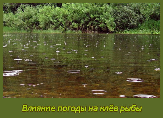 Взял с интернета