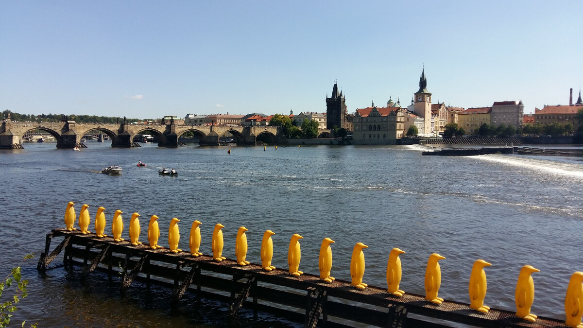 Карлов мост, а на переднем плане - желтые пингвины у Музея современного искусства