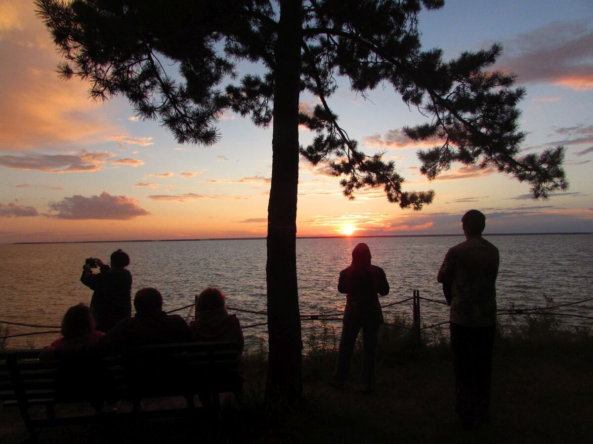 Берег Обского моря под Новосибирском. 