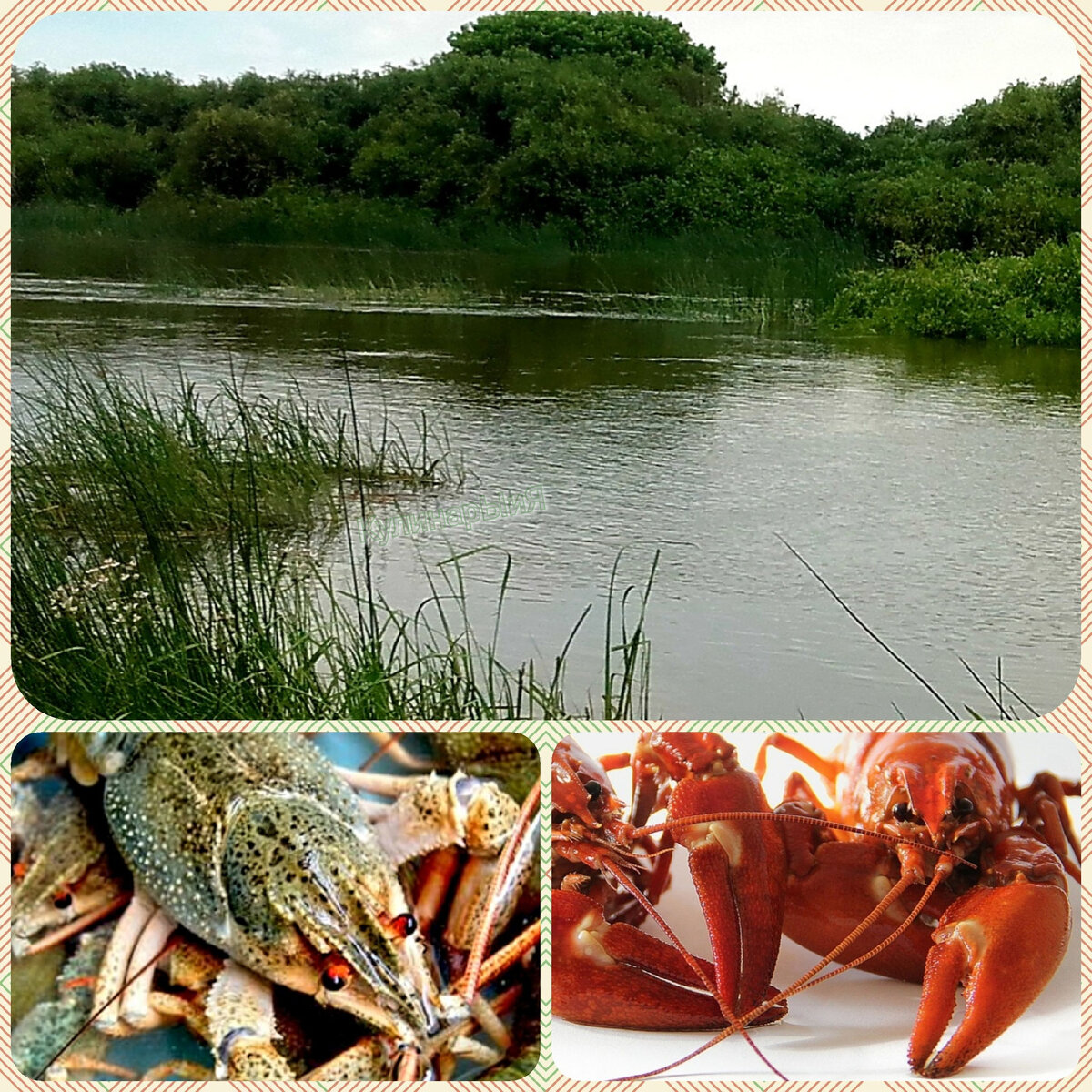 Раки из босоногого детства 