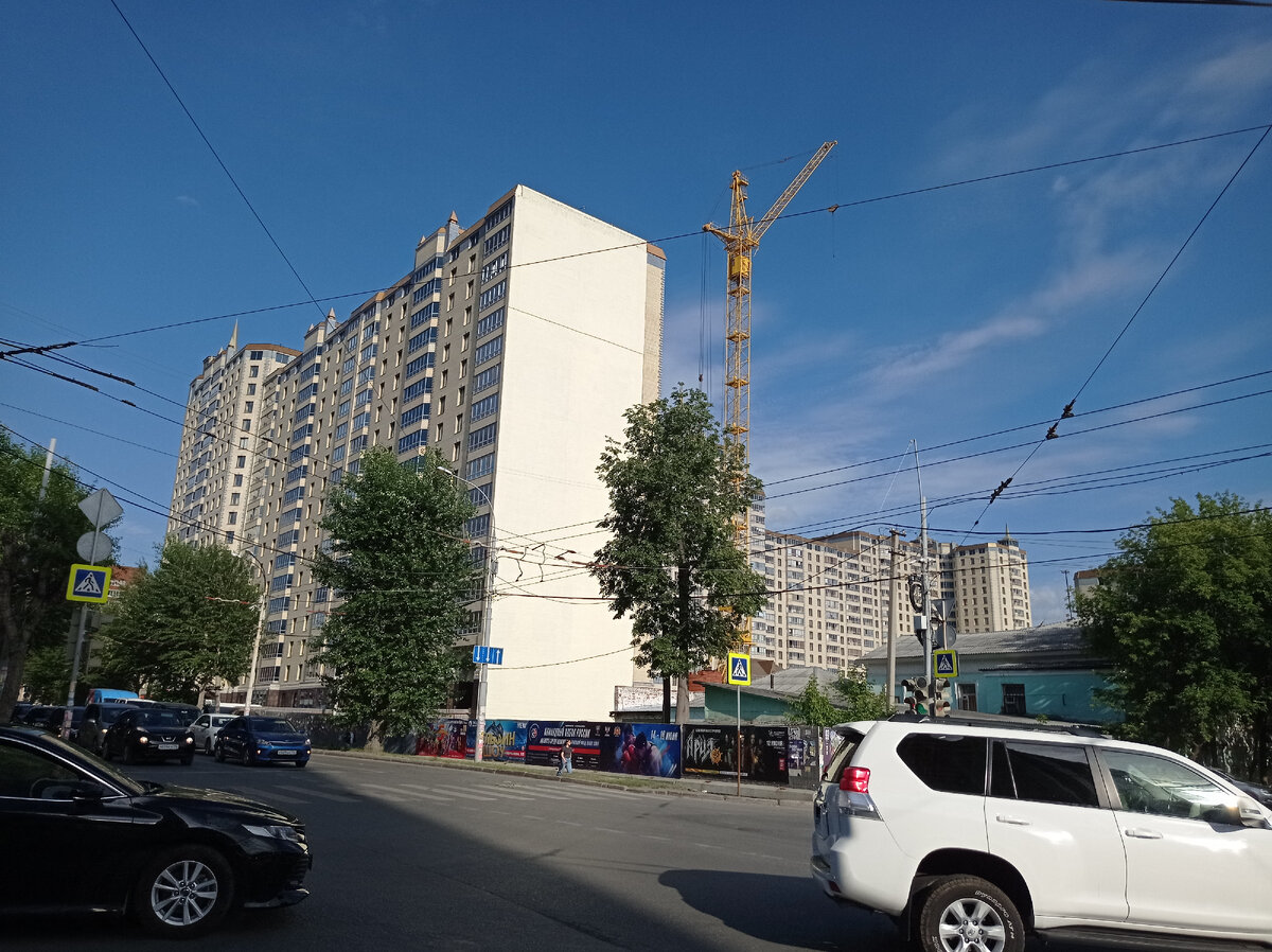 Строят и строят, человейники