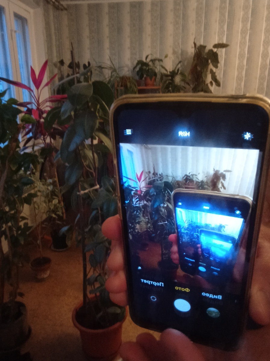 Тот самый смартфон