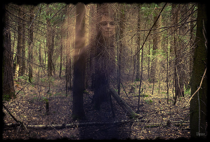 картинка с яндекс картинок