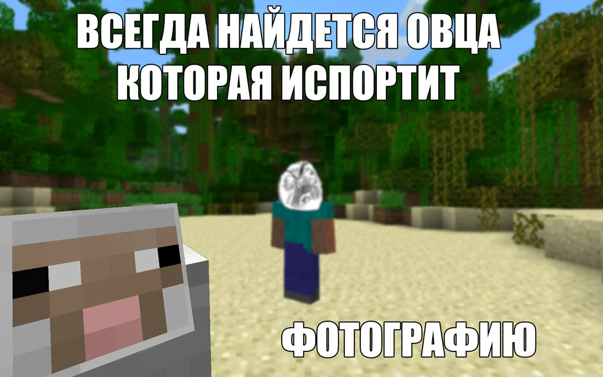 Картинки minecraft приколы