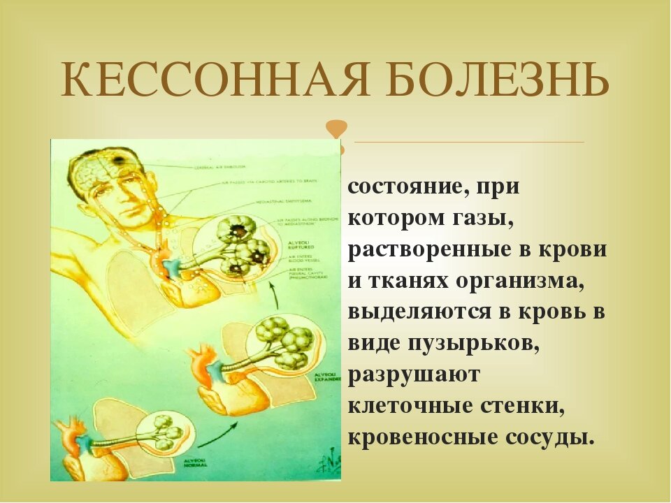 фото из свободного источника